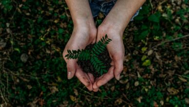 découvrez l'importance des matériaux durables dans la préservation de notre environnement. apprenez comment choisir, utiliser et innover avec des matériaux écologiques pour un avenir plus respectueux de la planète.